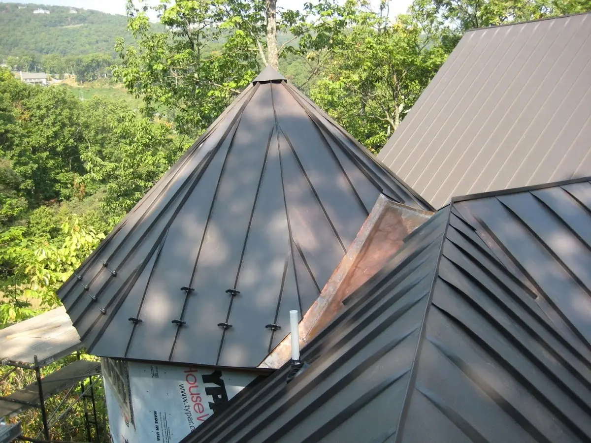 Professional Gutter Cleaning by Craftsman Roofing in Laguna Niguel